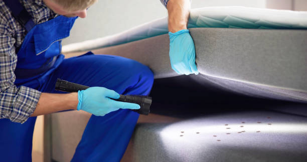 Best Pest Prevention Services  in Delisle, MS