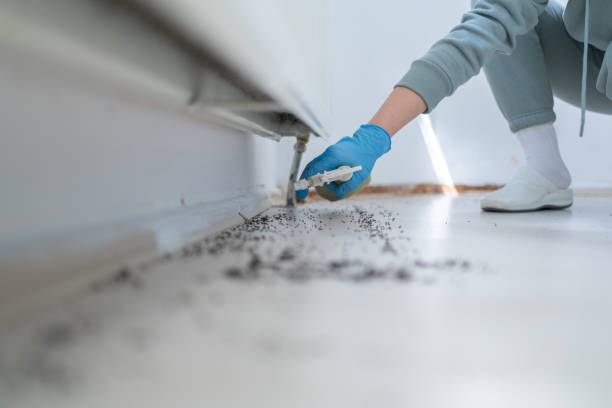 Best Insect Control  in Delisle, MS