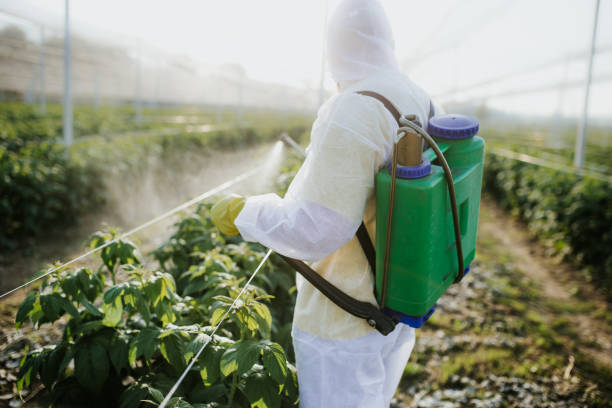 Best Pest Control Near Me  in Delisle, MS